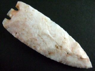 Fine Authentic 3 1/2 Inch Collector Grade Hernando Point Arrowheads 2