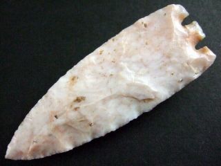 Fine Authentic 3 1/2 Inch Collector Grade Hernando Point Arrowheads 5