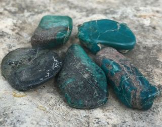 56 Ct Polished & Half Polished Eilat Stone King Solomon Israel Gemstone