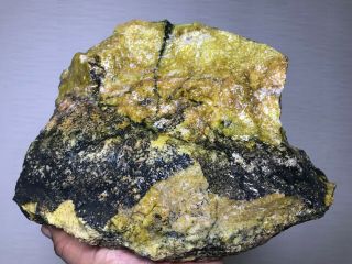 Solid Green Dendretic Agatized Opal Rough - 11.  5 Lbs From - Africa