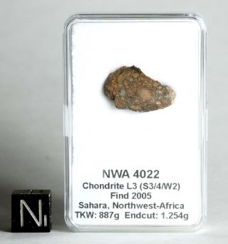 Meteorite Nwa 4022 - L3 Chondrite - Colorful Endcut In Display Box