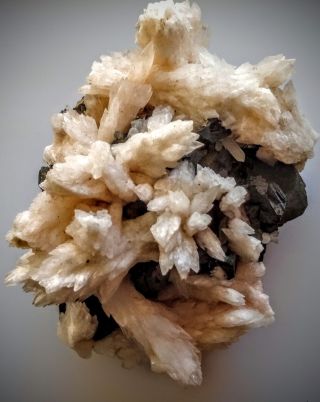 Galena Crystals on Calcite Crystals Chihuahua Mexico Natural Mineral Specimen 2