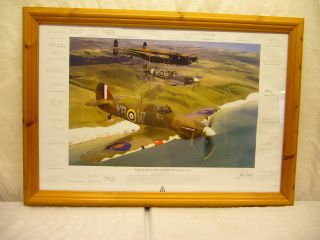 Battle Of Britain Memorial Flight Print Dooley 2010 Signatures D - 0202 - Dm - W29
