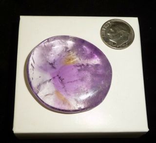 Dino: Ametrine Crystal Polished Smooth Stone,  Africa - 22 Gr.