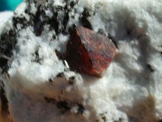 Large Red Garnet Crystal From Brazil in Quartz Matrix Gemstone 2