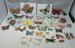 Victorian Paper Embossed Die Cuts.  Butterflies,  Insects.  34.  Scrapbooking