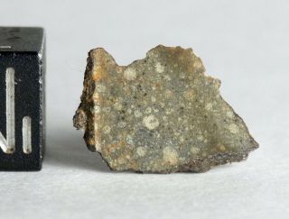 Meteorite Nwa 753 - Rumuruti R3.  9 Chondrite - Small Endcut