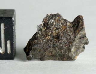 Meteorite NWA 753 - Rumuruti R3.  9 Chondrite - small Endcut 2