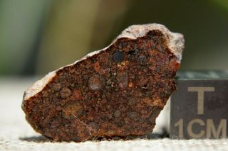 Nwa 10699 Ll (l) 3 Primitive Chondrite Meteorite 2.  7g Part Slice Of Rare Type