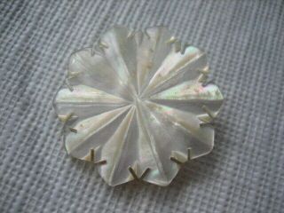 Vintage Medium 1 - 1/8th " Carved Mother Of Pearl Mop Shell Button - Ps13
