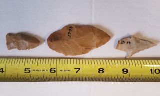 3 100 Authentic Archaic Indian Arrowheads From The Wolf Fam.  Coll.  Set: 27