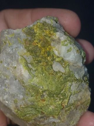 Rare Pyromorphite Galena & Quartz Crystal Wheatley Mine Phoenixville PA Mineral 3