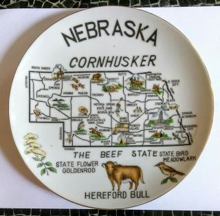 ☆ Old Nebraska Cornhusker State Plates Norcrest Japan Decorative Meadowlark Beef