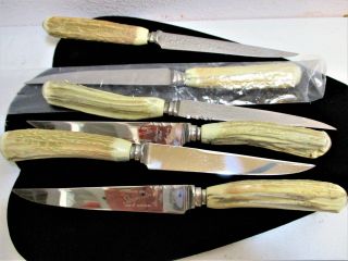 Vtg Stag Horn Steak Knife Set Of 6 Stainless Stagmaster By Craftsmen England