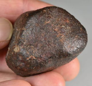 and Complete Crusted Chondrite Meteorite NWA 87,  9 g Low Metal 2