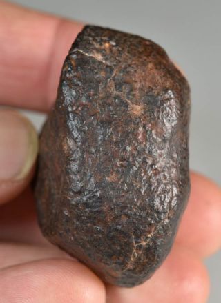 and Complete Crusted Chondrite Meteorite NWA 87,  9 g Low Metal 3