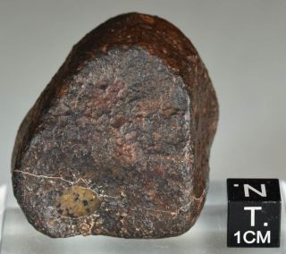 and Complete Crusted Chondrite Meteorite NWA 87,  9 g Low Metal 4