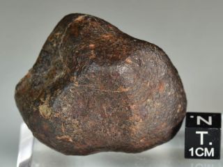 and Complete Crusted Chondrite Meteorite NWA 87,  9 g Low Metal 5