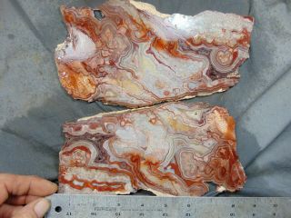 2 Old Mexican Crazy Lace Agate Slabs