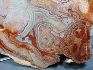 2 old mexican crazy lace agate slabs 2