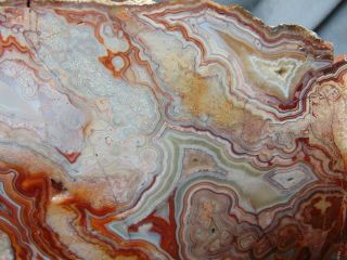 2 old mexican crazy lace agate slabs 3