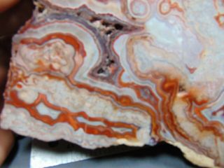 2 old mexican crazy lace agate slabs 4