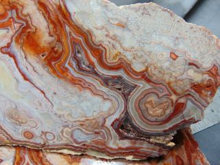 2 old mexican crazy lace agate slabs 5