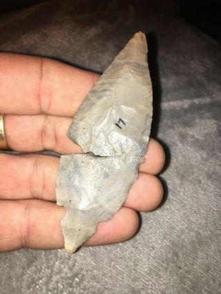 Indian Artifact Turkey Tail Found In Bourbon County Kentucky