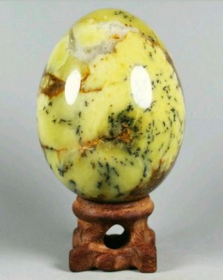 Natural polished Moss Agate Crystal Reiki Egg w/Rosewood Stand Madagascar 2