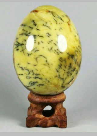 Natural polished Moss Agate Crystal Reiki Egg w/Rosewood Stand Madagascar 5