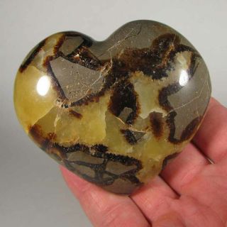 3.  2 " Septarian Heart Dragon Stone Polished Palm Stone Healing Reiki - Madagascar