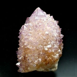 Minerals : Spirit Amethyst Crystals With Son Citrine Quartz From South Africa