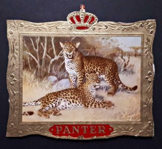Antique Embossed Cigar Box Label Panter Panther