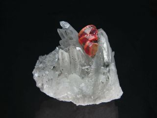 Gemmy Red Realgar Crystal Cluster With Quartz,  Paloma Mine Peru