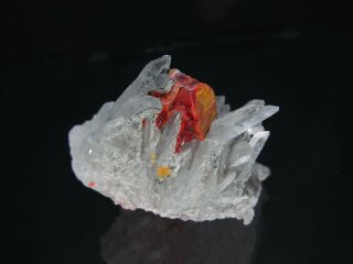Gemmy Red Realgar Crystal Cluster with Quartz,  Paloma Mine PERU 3