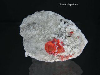 Gemmy Red Realgar Crystal Cluster with Quartz,  Paloma Mine PERU 4