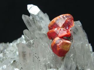 Gemmy Red Realgar Crystal Cluster with Quartz,  Paloma Mine PERU 5