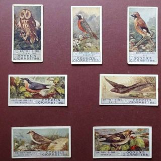 British Birds,  2nd Series,  51 - 100.  Issued 1909 By Ogdens Set 50