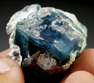 31 Grams Top Quality Blue Cap Tourmaline Crystal Specimen From Afg 2