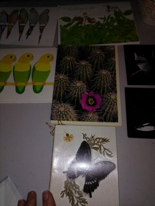 6 - Cards Customer,  Bonus Wildlife Sketches Cards