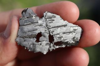 Canyon Diablo Meteorite End Cut 10.  9 Grams