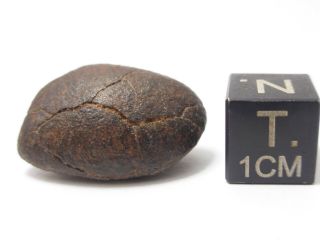 5.  26 G Nwa X Oriented Unclassified Ordinary Chondrite Meteorite