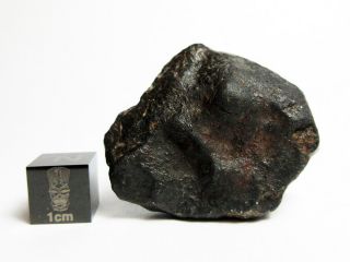 Nwa X Meteorite 32.  41g Cool Cosmic Chondrite