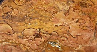 Polished Rock Slab Biggs Jasper - Large Specimen