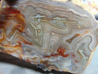 7 old mexican crazy lace agate slabs 3