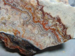 7 old mexican crazy lace agate slabs 4