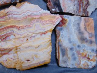 7 old mexican crazy lace agate slabs 5