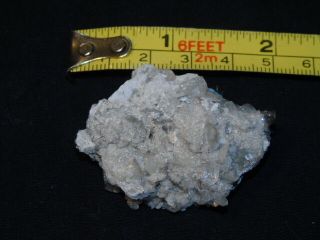 Very Rare Crystal Millerite In & On Calcite Mineral Specimen Cessford Quarry Il