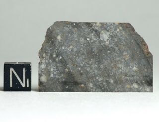 Meteorite Nwa 11344 - L3 - 4 (s3/w0 - 1) Very Fresh Large Thin Slice 6.  0g