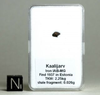Meteorite Kaalijarv - Extremely Rare Iron From Estonia Small Fragment